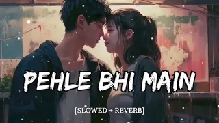 Pahle Bhi Main (Slowed+ Reverb) Vishal Mishra Animal _ Iam raaja Lofi songs 🎧 @tseries