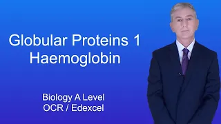 A Level Biology Revision "Globular Proteins 1"