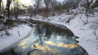 Прогулка по речке/в поисках куницы