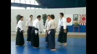 AIKIDO. Morihiro Saito: The Lost Seminars