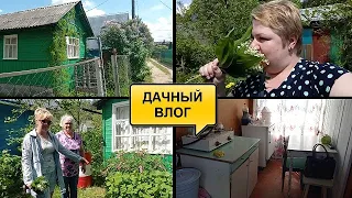 В ГОСТЯХ НА ДАЧЕ//ОБЗОР УЧАСТКА И РУМ ТУР ПО ДАЧНОМУ ДОМУ//КОТТЕДЖНЫЙ ПОСЕЛОК//НЕЗЕМНАЯ КРАСОТА/ВЛОГ