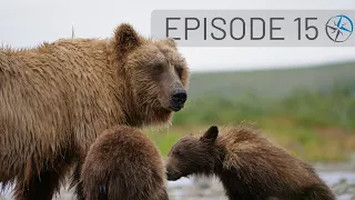 Up Close with Katmai National Park Bears - Adventures in Homer & Seward, Alaska | Go North Ep 15
