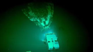 5 ROV Findings from Hawaii's Deepwaters