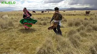 HERMOSA DANZA AUTÓCTONA DEL SUR DEL PERÚ 🇵🇪 | K´AJELO | Q'AXILU | DANZA DE #LARAQUERI - #PUNO