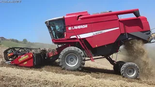 Laverda Al Quattro Evo+ CRESSONI 6 mt. [Az . Agr. Marchionni ]Harvest Season 2020 FRUMENTO ALLETTATO