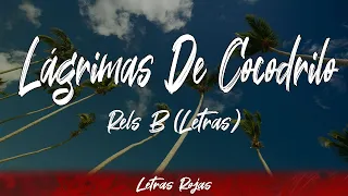 Rels B - Lágrimas De Cocodrilo (Lyrics/Letra) | Wing Lyrics