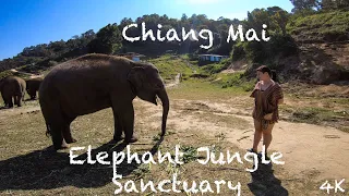 Elephant Sanctuary | Chiang Mai, Thailand [4K]