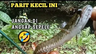 SEPERTI MANCING DI ‼️ Sungai Amazon dan Sungai NiL 😂🤣