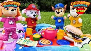 Video de aprendizaje para niños - ¡Picnic de la Paw Patrol!