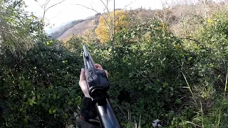 Remington 7400 shooting