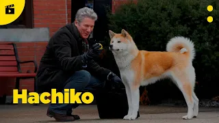 Siempre a tu lado, Hachiko | Tráiler promocional en español