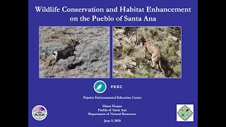 Wildlife Conservation and Habitat Enhancement on the Pueblo of Santa Ana