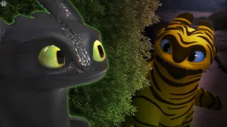 Toothless finds out The Light Fury is an EEL!?