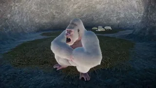 Albino Western Lowland Gorilla | Planet Zoo Animals