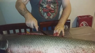 How to clean allagator gar