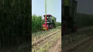 Corn Harvest #Machine