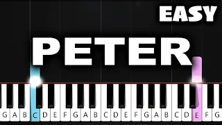 Taylor Swift - Peter - EASY Piano Tutorial