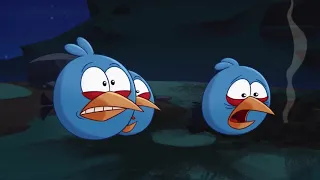 Angry Birds Toons | Bomb's Awake - S1 Ep52.