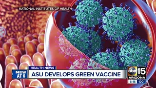 ASU develops norovirus vaccine from tobacco plant