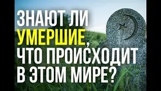 МОГУТ ли Умершие ЗНАТЬ о том что ПРОИСХОДИТ в этом МИРЕ--ШЕИХ АМАР