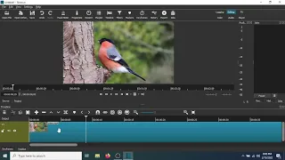 How To Add A Slow Motion And Fast Forward Effect To A Video Using Shotcut Video Editor