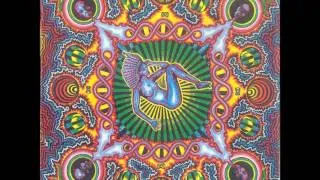 Shamanic Tribes On Acid - Omnifarious Splifferous