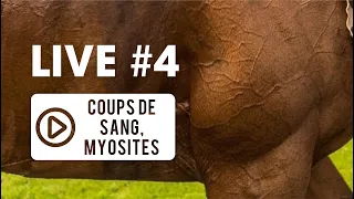 [LIVE VÉTO 👨‍⚕️] #4 Coups de sang