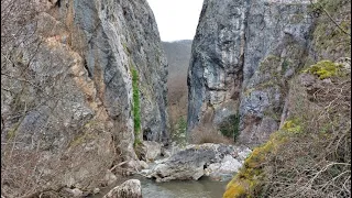 Zapis iz Trnskog ždrela, kanjona reke Jerme - 17.03.2024.