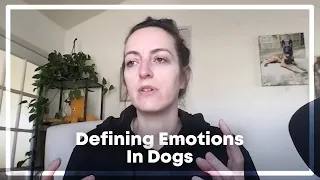 Defining Feelings And Emotions In Dogs (Ft. Dr. Melanie)