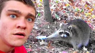 I Trapped a RACCOON! *Catch Clean Cook*