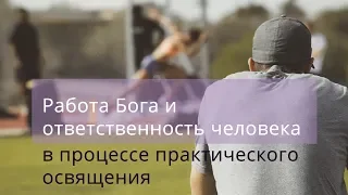 Филиппийцам 2:12-13. Работа Бога и ответственность человека в процессе практического освящения