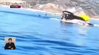 Горбатый кит проглотил двух девушек у берегов Калифорнии