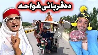 Da Qurbani Ghwaha || Pashto New Funny Video By Tuti Gull Vines 2023
