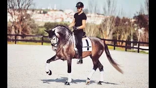 RIDING MY NEW HORSE AFTER 3 MONTHS OF TRAINING
