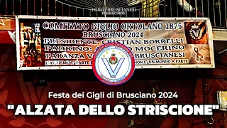 Brusciano 2024 - "Alzata dello Striscione" Giglio Ortolano 1875 Volontari Bruscianesi - 02.01.2024