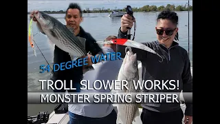 Trolling for Delta Stripers in the Spring again 2024