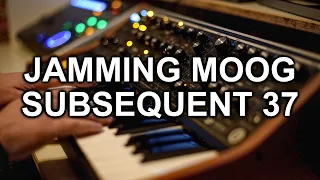 Jamming with the Moog Subsequent 37