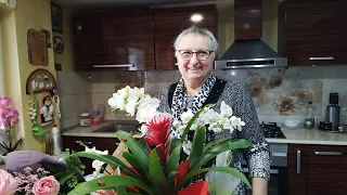 Cu Bunica la piața Mihai viteazul Arad / cumpărăm cadouri pt Carmen