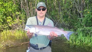 Salmon fishing and camping in Talkeetna, Alaska