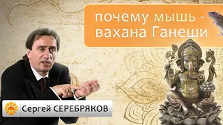 Почему мышь - вахана Ганеши? Сергей Серебряков