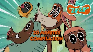 Zip Zip *The Wild Side* Compilation 30min HD [Official] Cartoon for kids