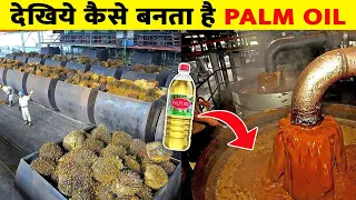 फैक्ट्री में पाम आयल कैसे बनता है |How Palm Oil Is Made In Factory | Palm Oil Manufacturing In Hindi
