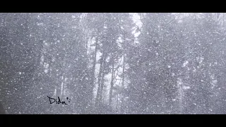 Judy Collins & Jonas Fjeld + Chatham County Line - Frozen North (Lyric Video)
