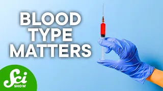 The Pros & Cons of Your Blood Type