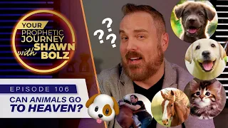 Can Animals Go to Heaven? | Shawn Bolz