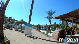Пляж Royal Holiday Beach Resort  / Sharm El Sheikh