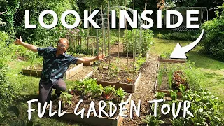 Summer Vegetable Garden: The Full Tour