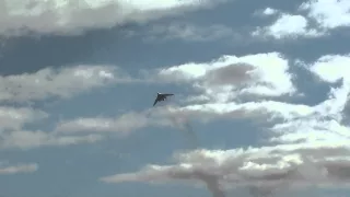 Ту-160_Проход на максимальной стреловидности