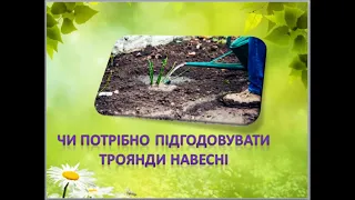 " Чи потрібно підгодовувати троянди навесні?"