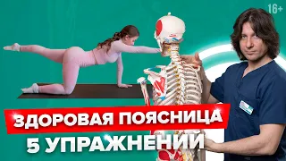 5 лучших УПРАЖНЕНИЙ, чтобы не болела ПОЯСНИЦА. Упражнения для поясницы.